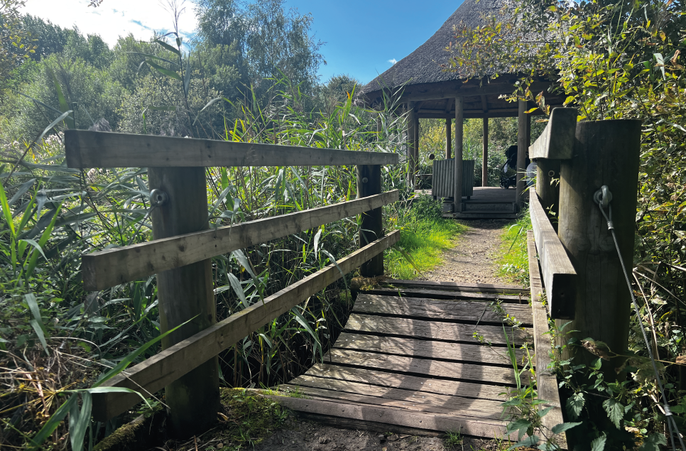 Wild Walk - The Hidden Gem of Martin Mere